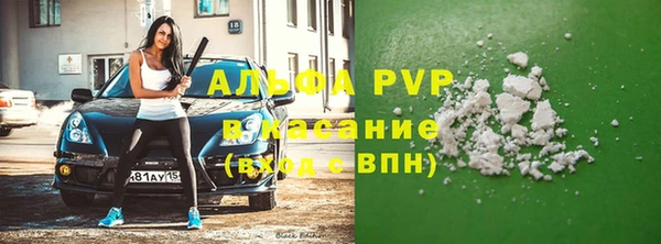прущие грибы Заволжье