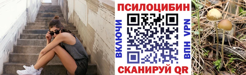 мега как войти Сальск Галлюциногенные грибы GOLDEN TEACHER сколько стоит