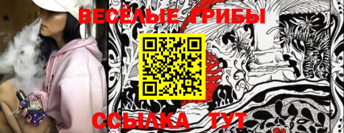 Сальск  цены   Вход с VPN  Галлюциногенные грибы MAGIC MUSHROOMS 