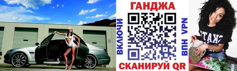 Каннабис сатива  закладка  Сальск 