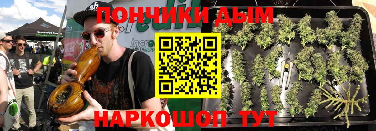 Бошки марихуана семена  Марихуана гибрид  Сальск  Каннабис тримм  Вход с VPN 